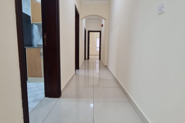 Mansoura_3 Mansoura_3