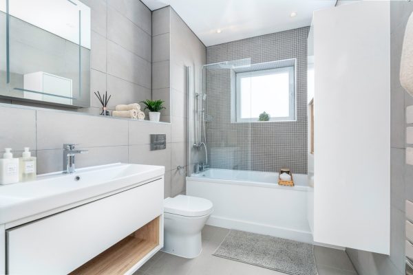 WhatsApp Image 2024-01-03 at 1.50.21 PM (2)